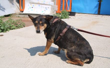 Wella sucht ihren sicheren Hafen