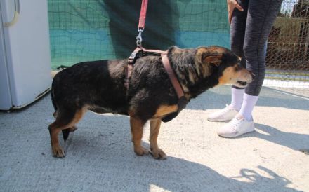 Wella sucht ihren sicheren Hafen