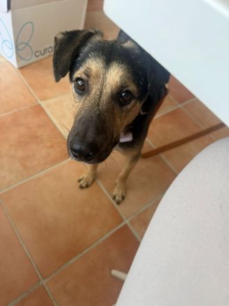 MILO vom Schatten ins Leben