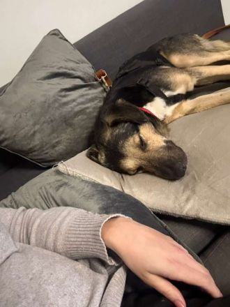 MILO vom Schatten ins Leben