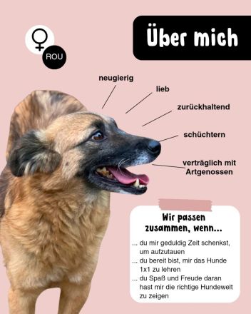 MINU sucht ihre Familie