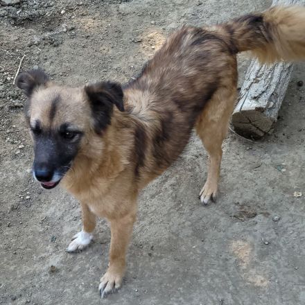 MINU sucht ihre Familie