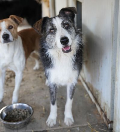 Fröhliche JUNA sucht Dich