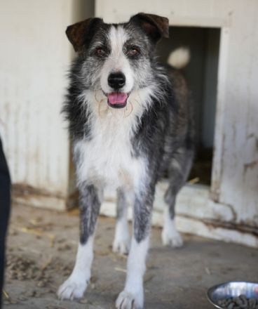 Fröhliche JUNA sucht Dich