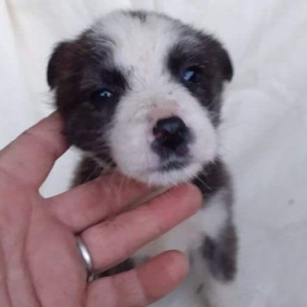 Fröhliche JUNA sucht Dich