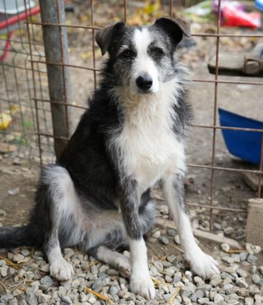 Fröhliche JUNA sucht Dich