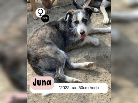 Fröhliche JUNA sucht Dich