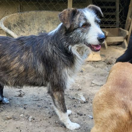 Fröhliche JUNA sucht Dich