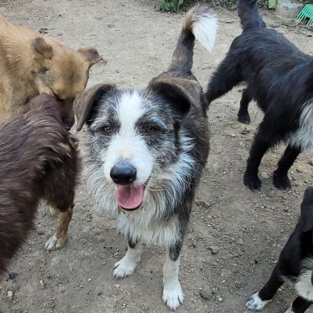 Fröhliche JUNA sucht Dich