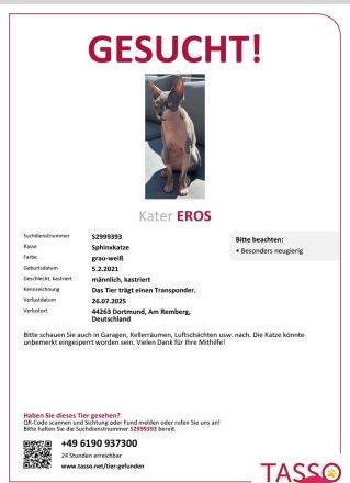 Wichtige Information für Käufer von Sphynx-Katzen!