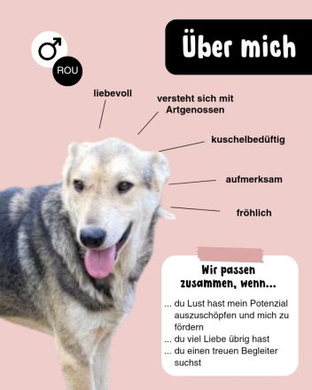 Menschenbezogener BENNE