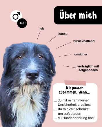 BLACKY möchte das Leben kennenlernen