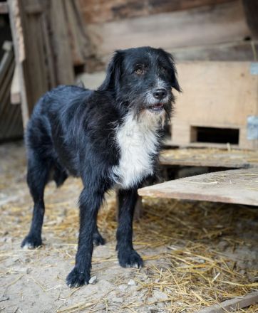 BLACKY möchte das Leben kennenlernen