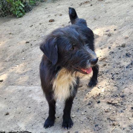 BLACKY möchte das Leben kennenlernen