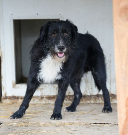 BLACKY möchte das Leben kennenlernen