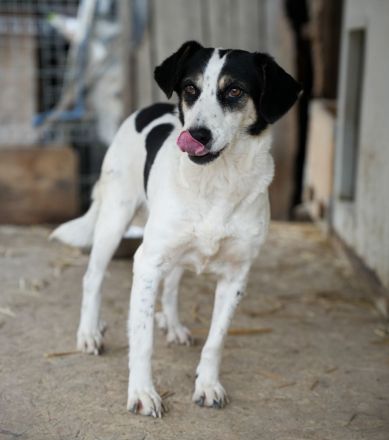 Schüchterne KLARA mit viel Potenzial