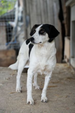 Schüchterne KLARA mit viel Potenzial