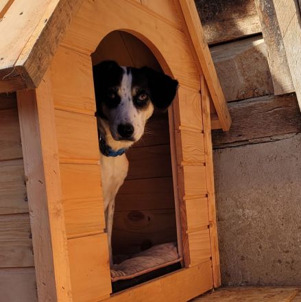 Schüchterne KLARA mit viel Potenzial