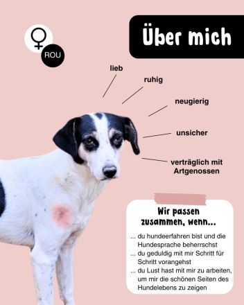 Schüchterne KLARA mit viel Potenzial