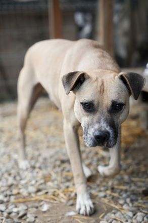 CRUMBLE sucht ein warmes Körbchen