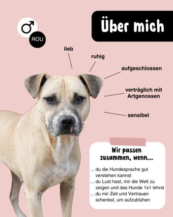 CRUMBLE sucht ein warmes Körbchen