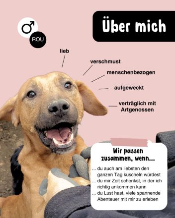 Liebevoller KONRAD sucht seine Menschen