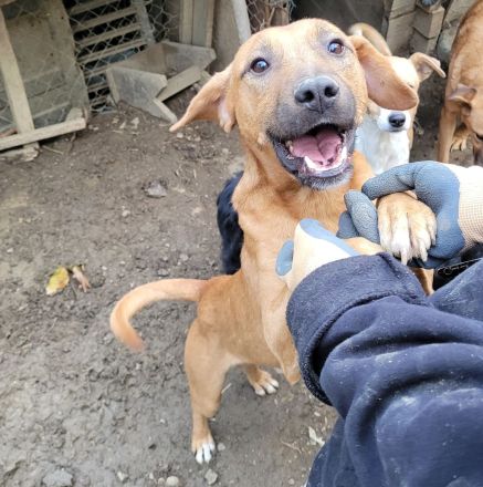 Liebevoller KONRAD sucht seine Menschen