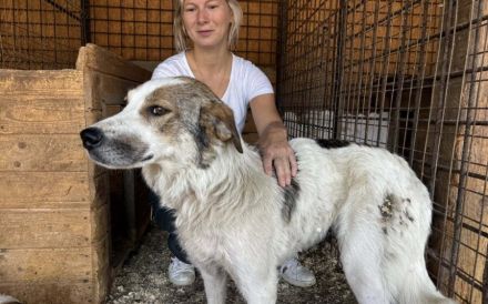 Zita hat Potential zur Traumhündin