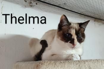 Thelma