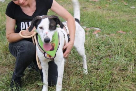 Mit Ozzy zieht gute Laune bei dir ein