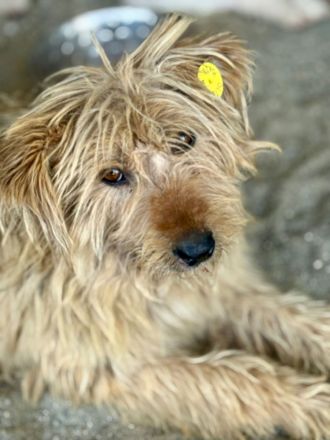 Lioba, 4 Jahre alt, möchte endlich ein Fürimmerzuhause