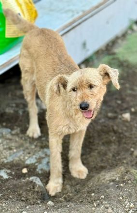 Lioba, 4 Jahre alt, möchte endlich ein Fürimmerzuhause