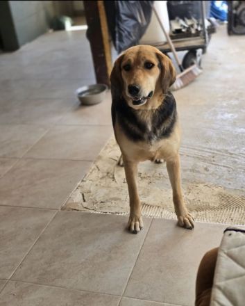 Lara zartes Herz sucht einen sicheren Platz zum Ankommen