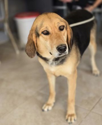 Lara zartes Herz sucht einen sicheren Platz zum Ankommen