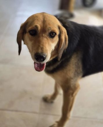 Lara zartes Herz sucht einen sicheren Platz zum Ankommen