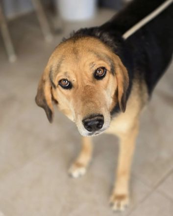 Lara zartes Herz sucht einen sicheren Platz zum Ankommen