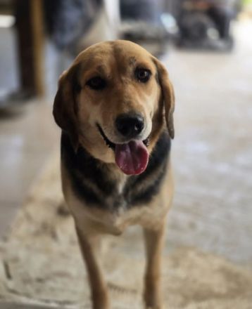 Lara zartes Herz sucht einen sicheren Platz zum Ankommen