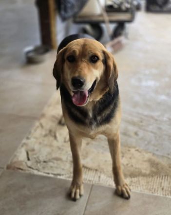 Lara zartes Herz sucht einen sicheren Platz zum Ankommen