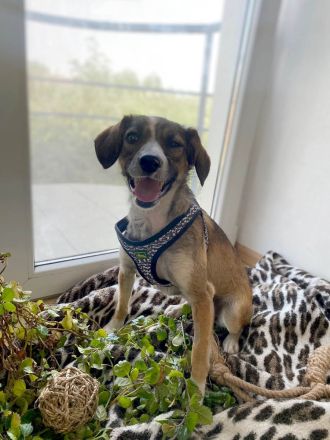 Dale wünscht sich eine eigene Familie