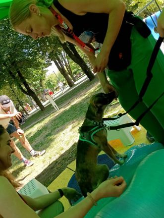 Dale wünscht sich eine eigene Familie