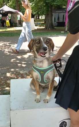 Dale wünscht sich eine eigene Familie