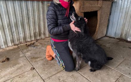 Mission possible: Black Cheeryno sucht ein Zuhause