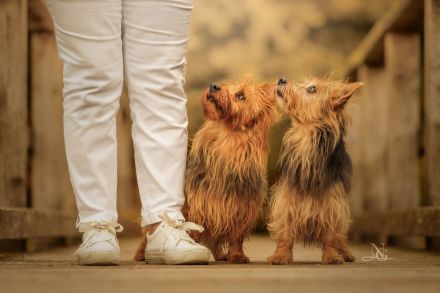 JUMPERS