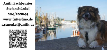 Anifit Tierernährungsberatung für Hunde & Katzen in Dortmund & Umgebung