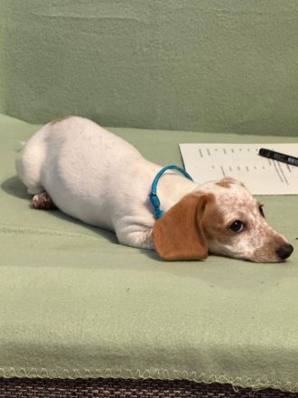 Suche meine „Für-immer-Familie“