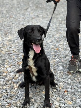 Jasko möchte mit Dir die Welt entdecken.