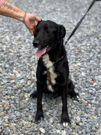 Jasko möchte mit Dir die Welt entdecken.