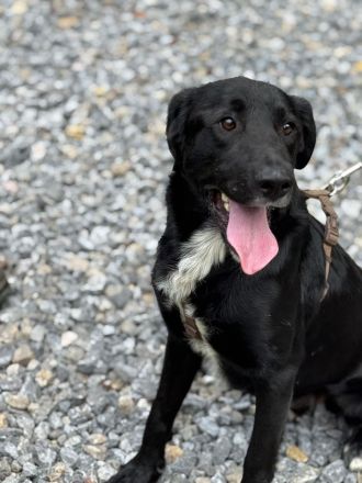 Jasko möchte mit Dir die Welt entdecken.