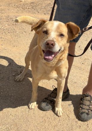 Mati sucht eine Familie!