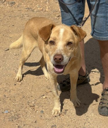 Mati sucht eine Familie!